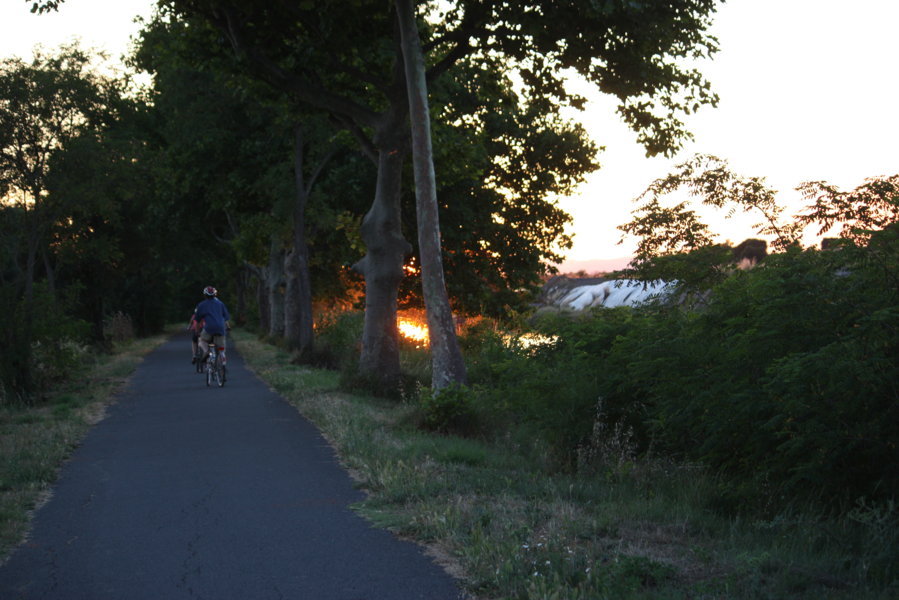 ***************** Hei feelt eng Foto **************